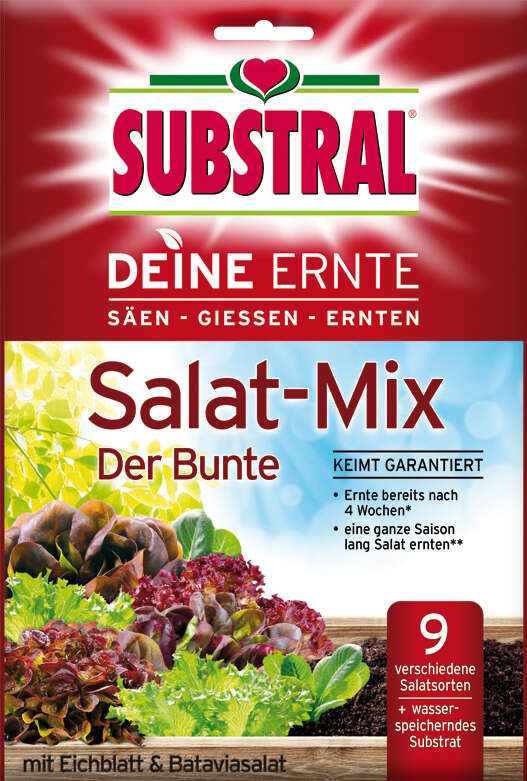 SUBSTRAL Deine Ernte Salat-Mix Der Bunte